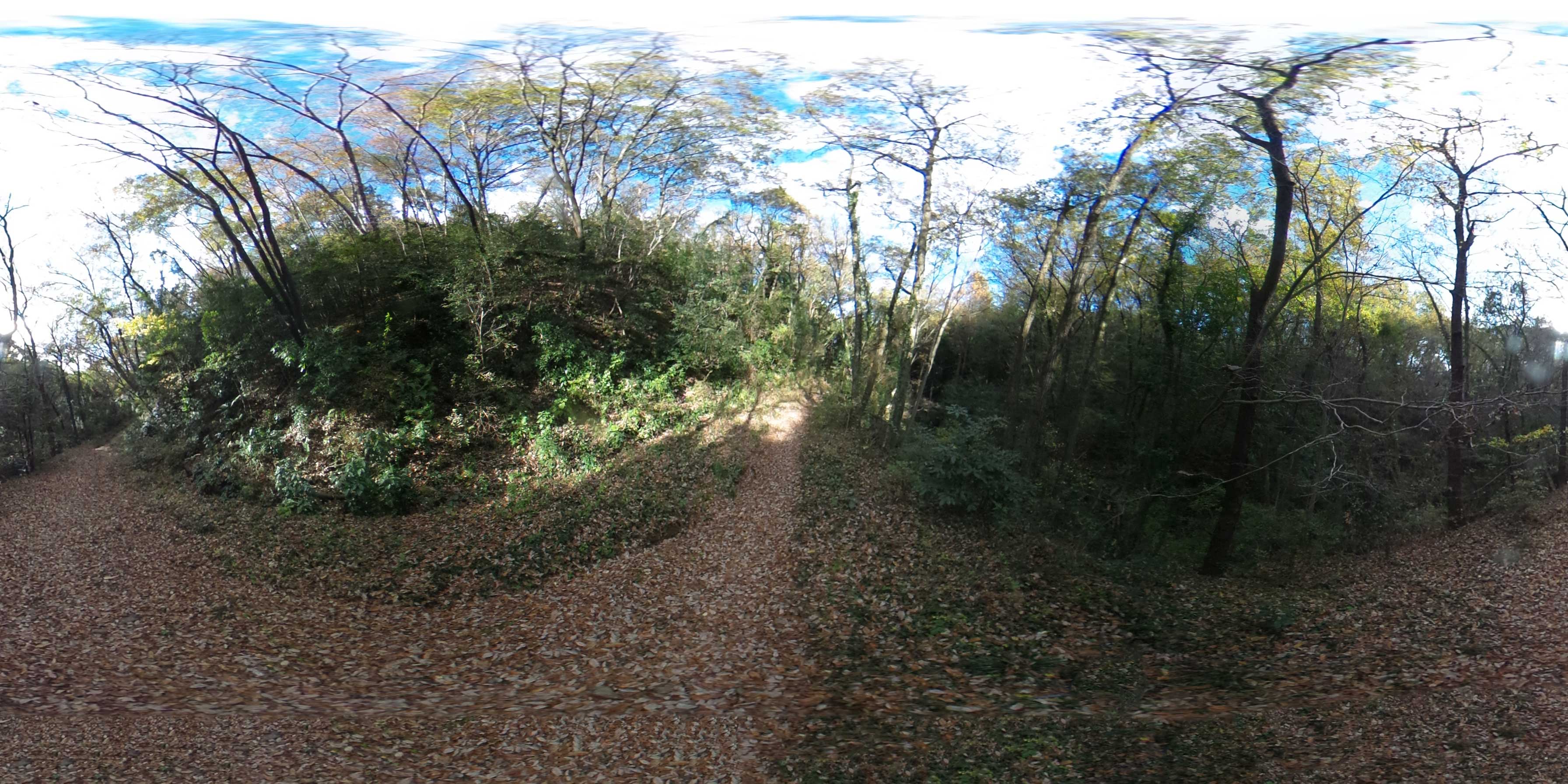 R0010376.vr